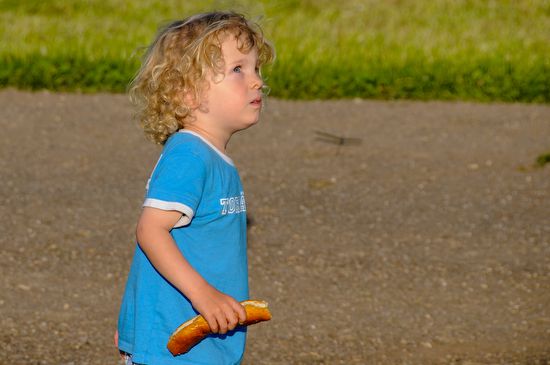 1305-maibaumfest-fxb_2329-120.jpg
