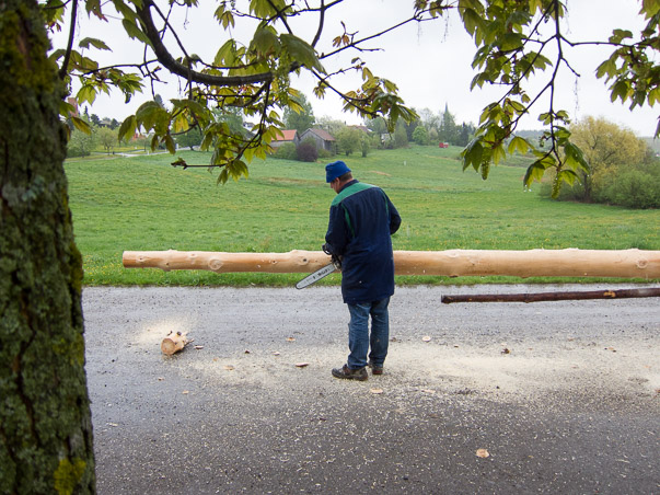 Maibaumumlegen 2015