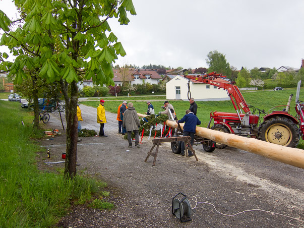 Maibaumumlegen 2015