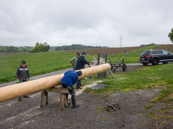 Maibaumumlegen 2015