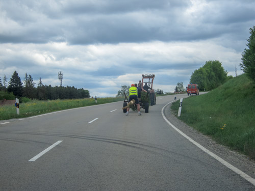 IMG 9065